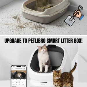 PETLIBRO Luma automatic self cleaning litter box with open top design and AI camera waste analysis tracking multiple cats on a white floor.